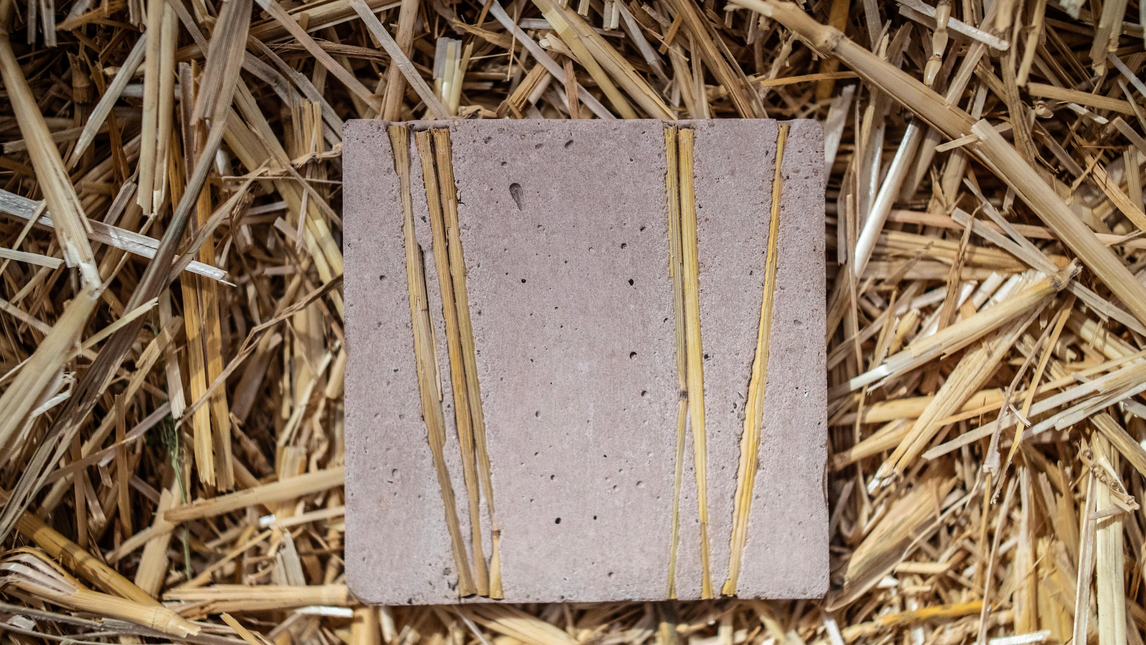 Close up shot of a customized Datecrete format on a wheat-stalk platform.