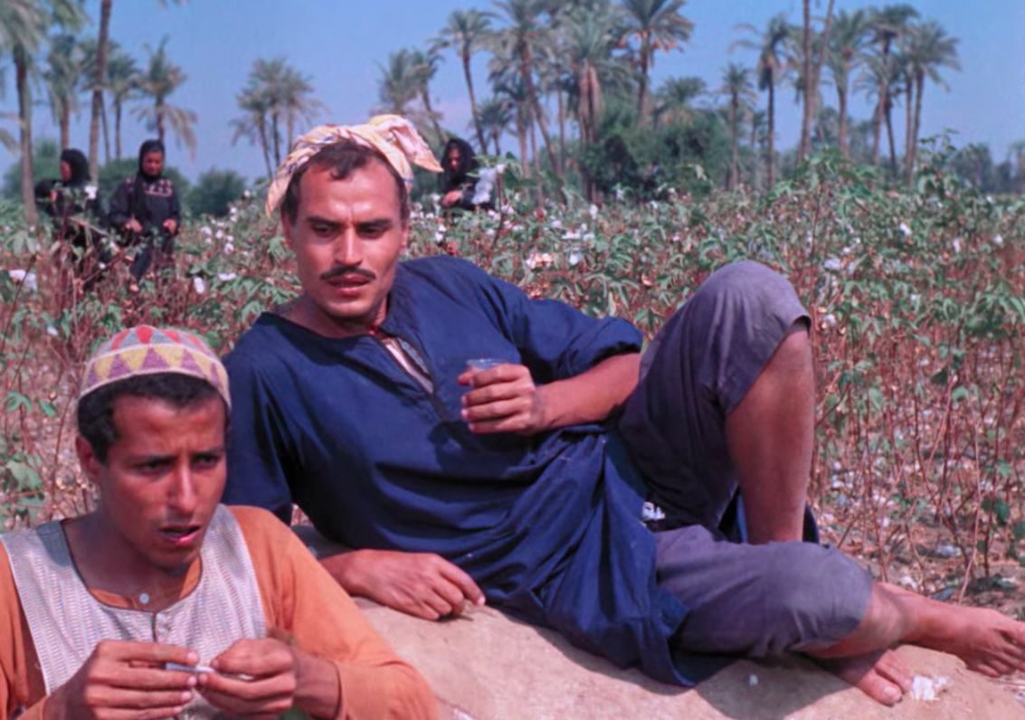 Ezzat El Alaili's and Salah El-Saadany's "The Land (1969)" characters sitting in a field abundant with palm trees.