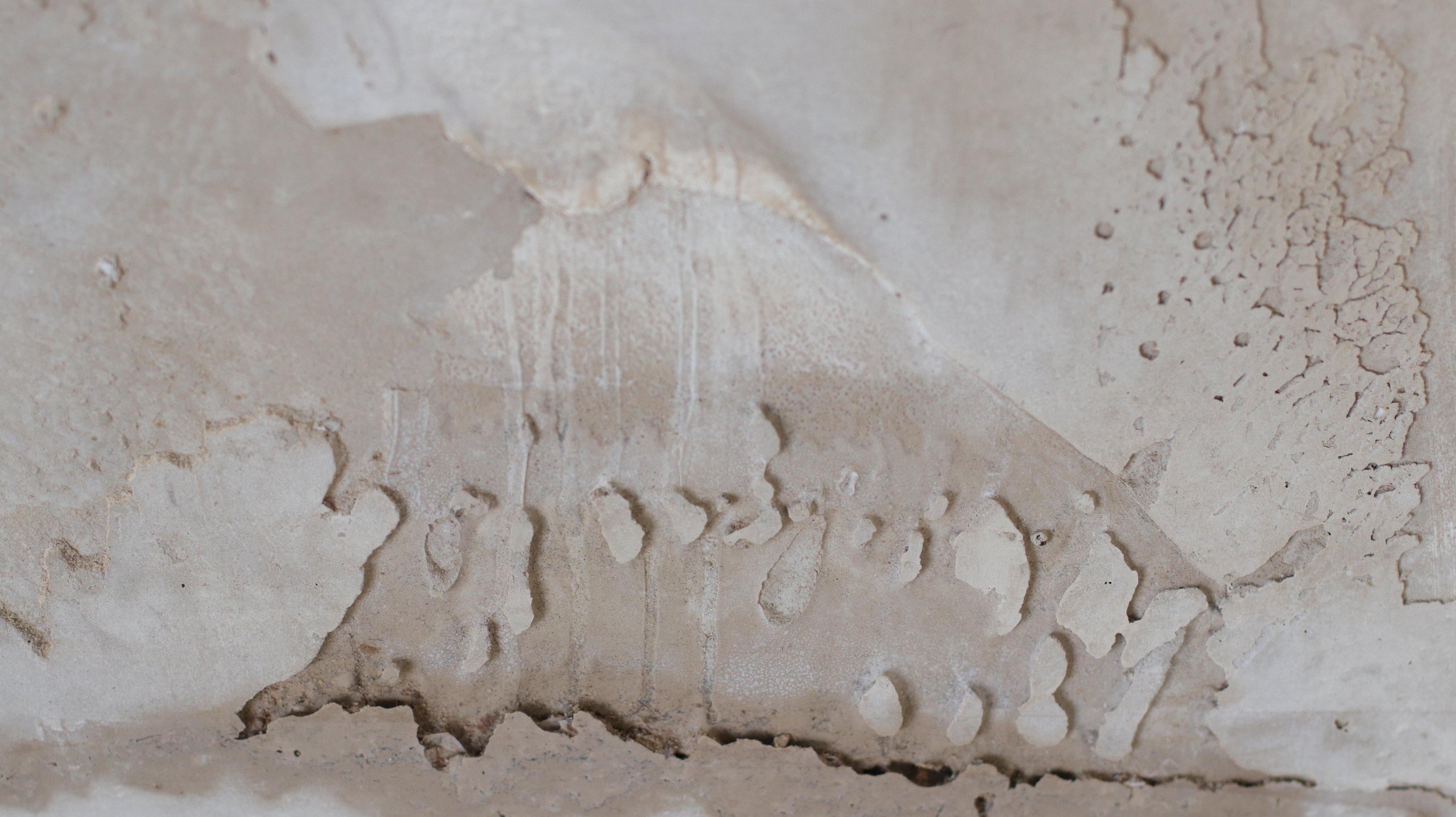 Close-up shot of the texture of one of the sculptures of the Greener Pastures series.