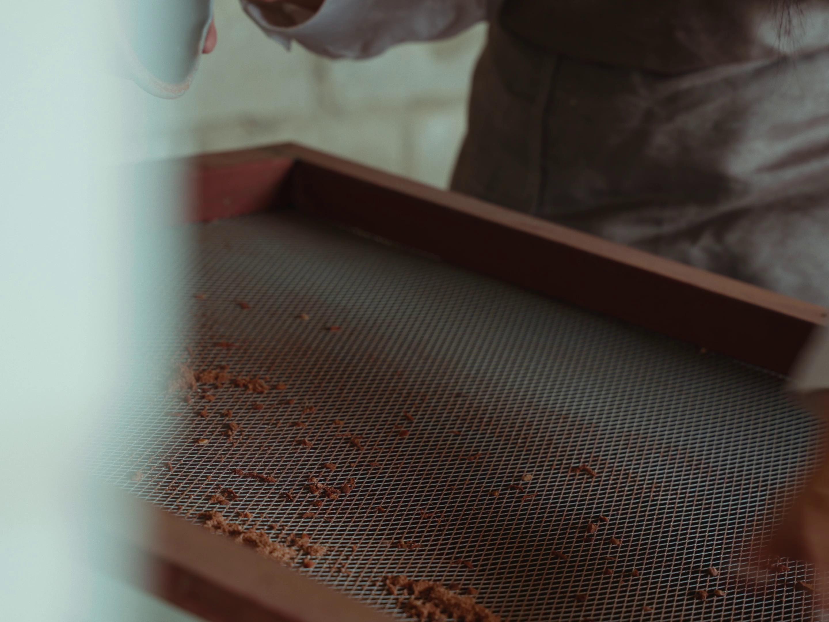 Ground seeds being sieved.