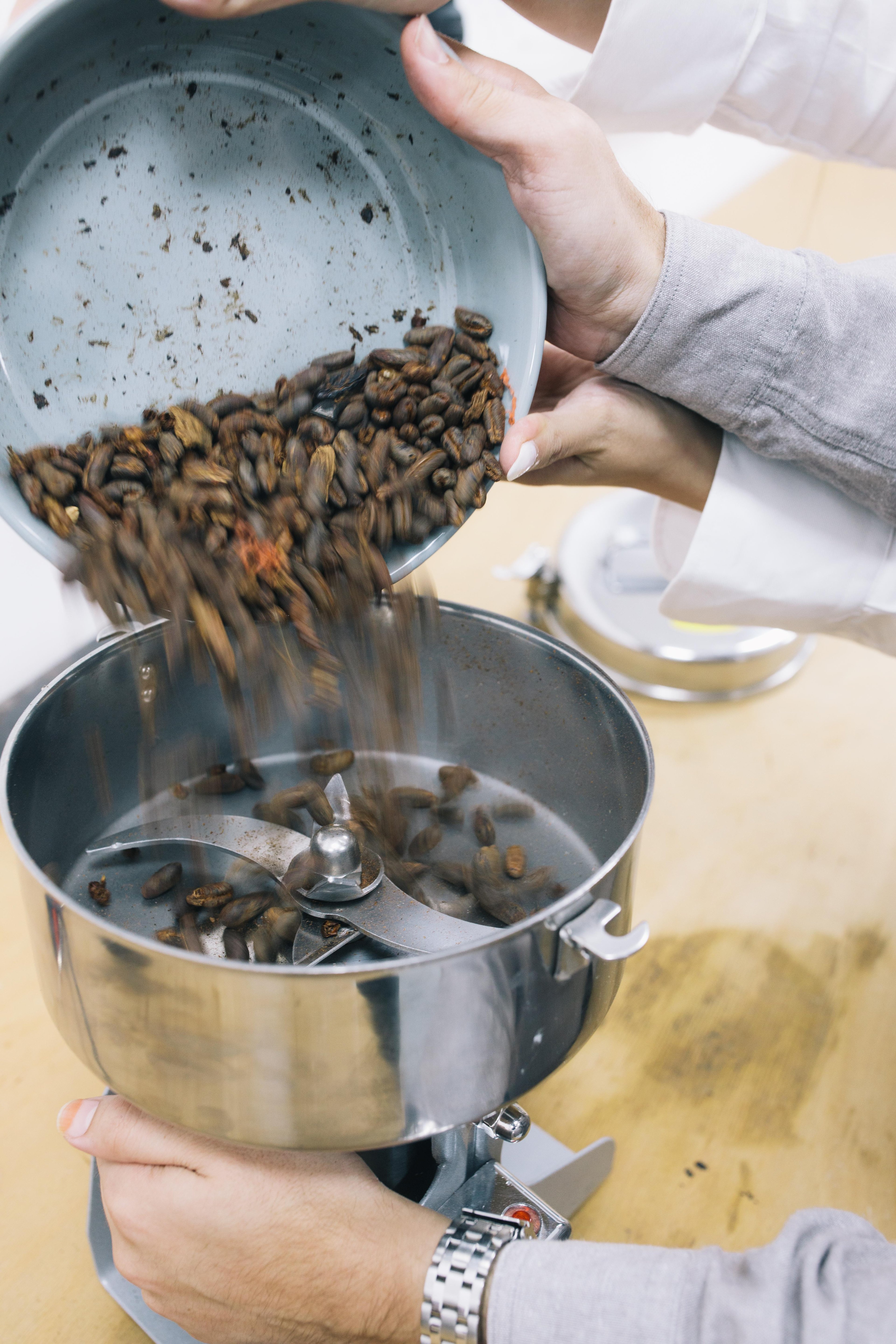 Date seeds being poured from a tray into a grinding machine by Sara and Khaled.