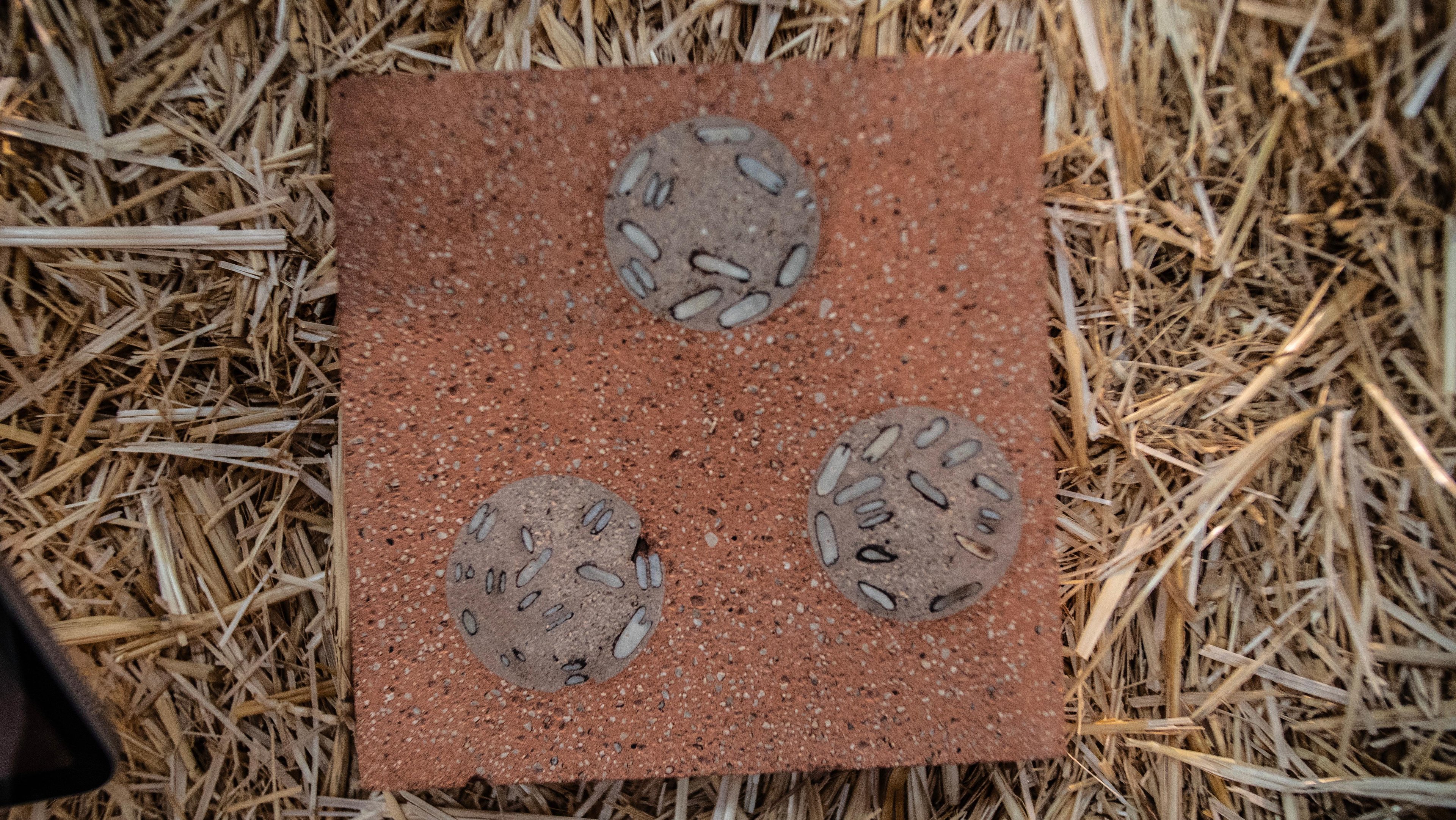 Close up shot of a Datecrete Moon Seed Pattern tile on a wheat-stalk platform.