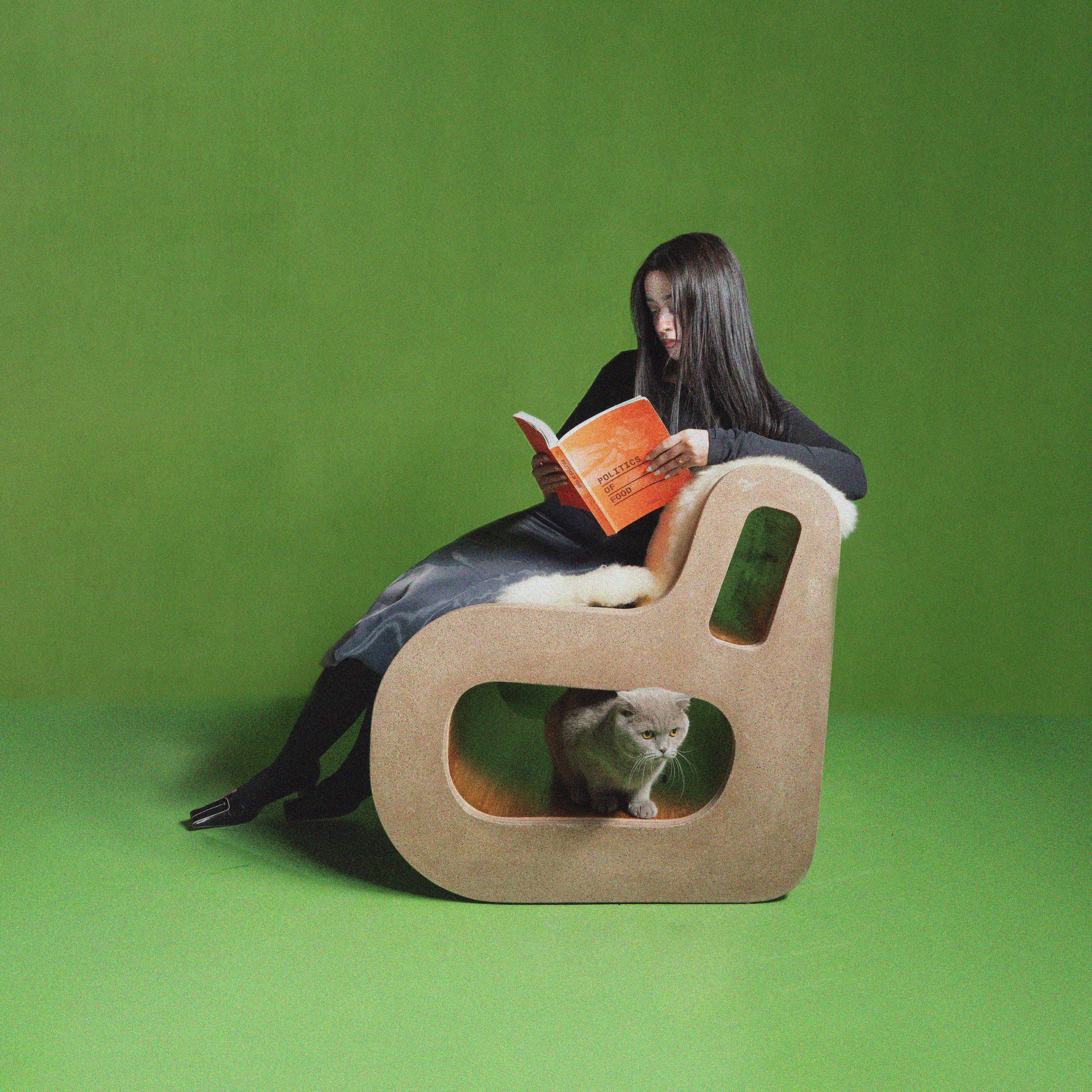 Sara Farha, one of the founders of Datecrete, reading a book while sitting on the Datecrete Accent Chair. Sara's grey pet cat is lounging around under the chair.
