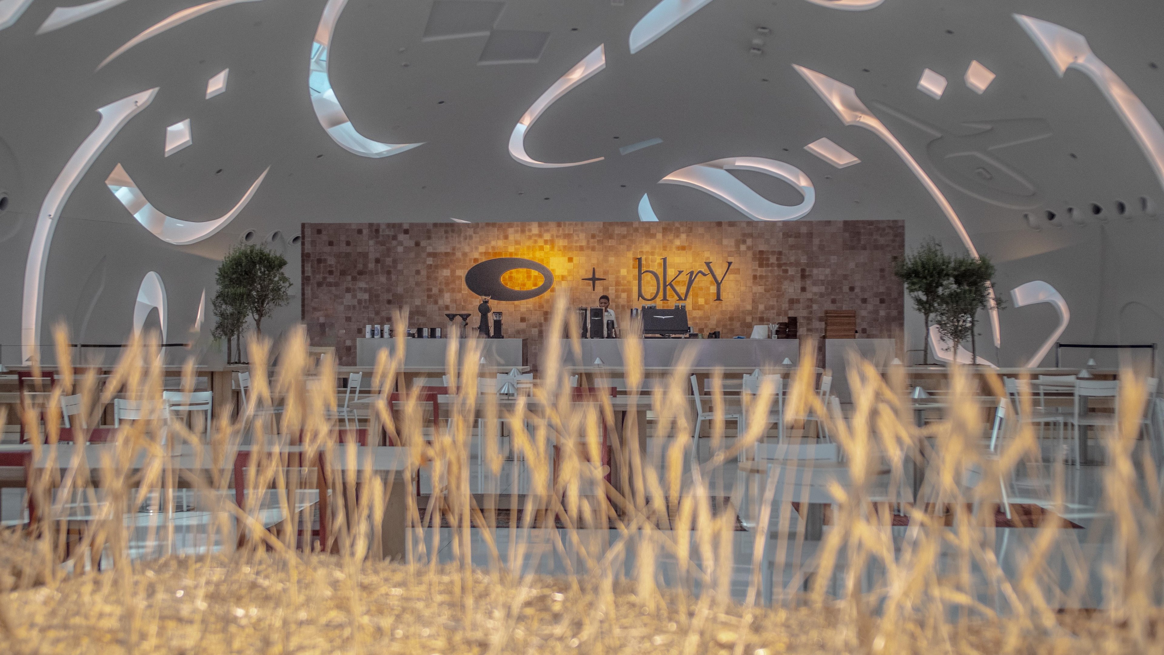 Long distance shot of the BKRY x MOTF Pop-Up chocolate-toned Datecrete backdrop; a profusion of wheat stalks is out of focus in the foreground of the shot. 