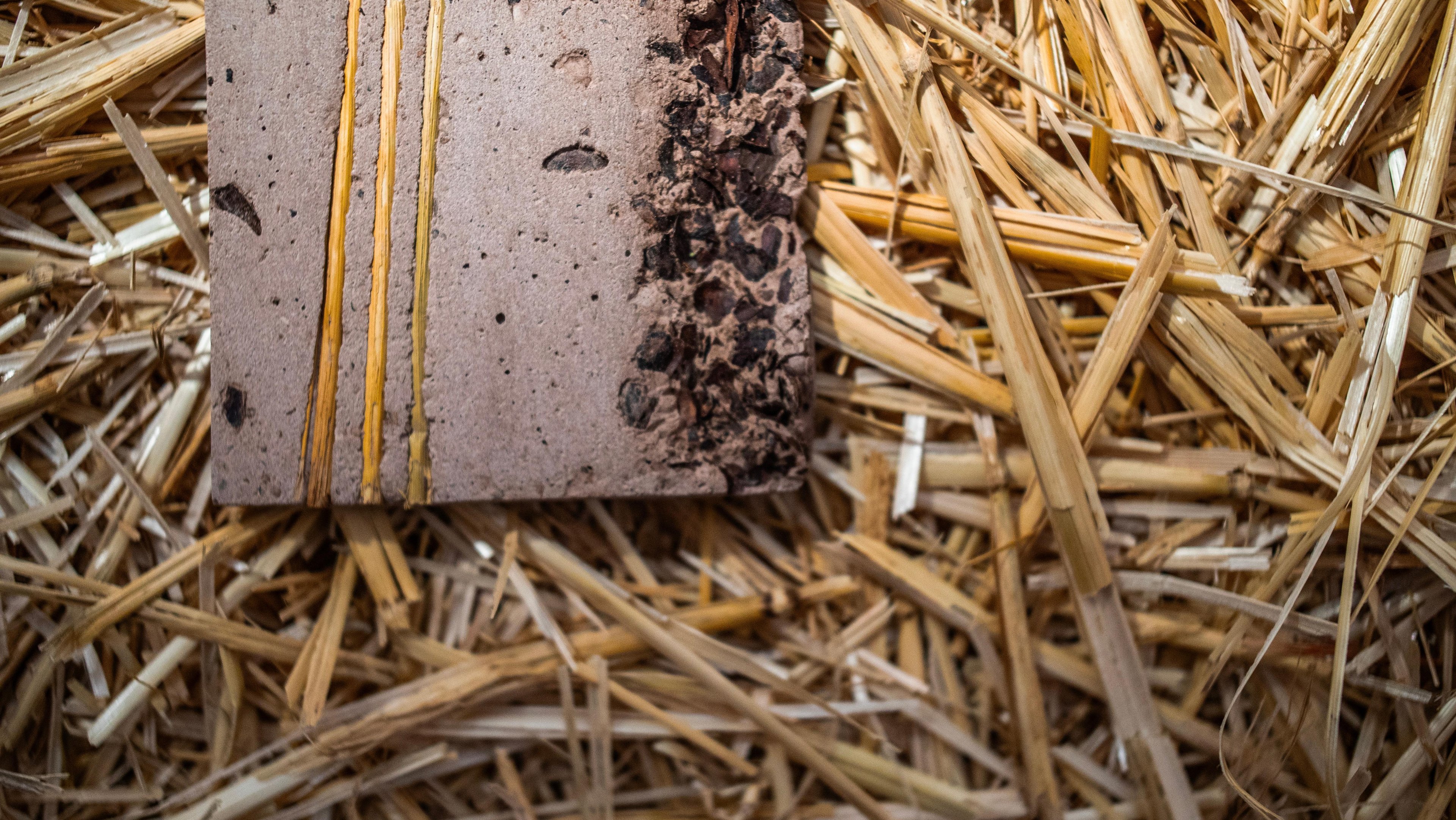 Close up shot of a customized Datecrete format on a wheat-stalk platform.